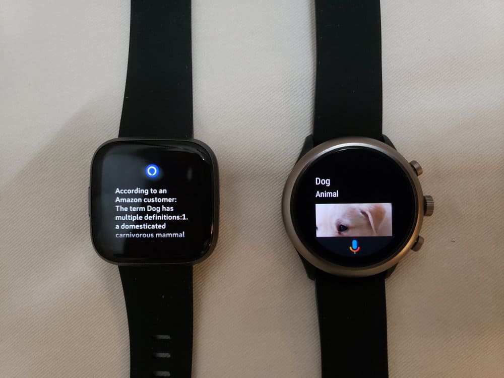 Versa 2 and Sport Smartwatch come with Alexa and Google Assistant respectively