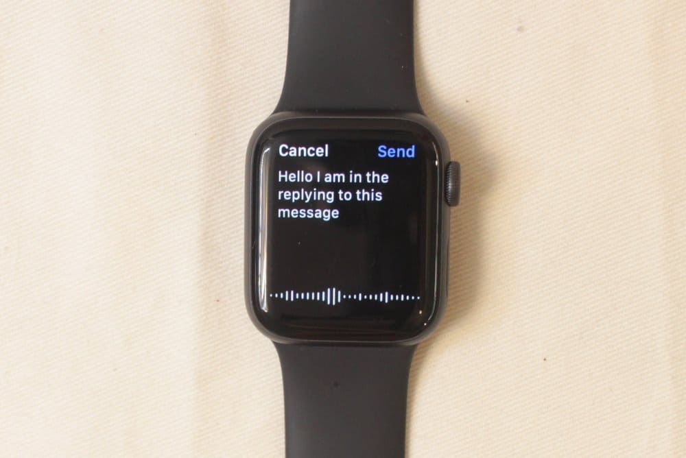 Apple Watch Series 5 voice input