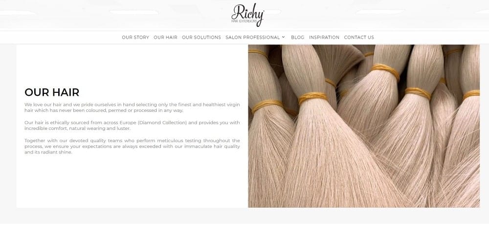 This is a screenshot of the Richy website.