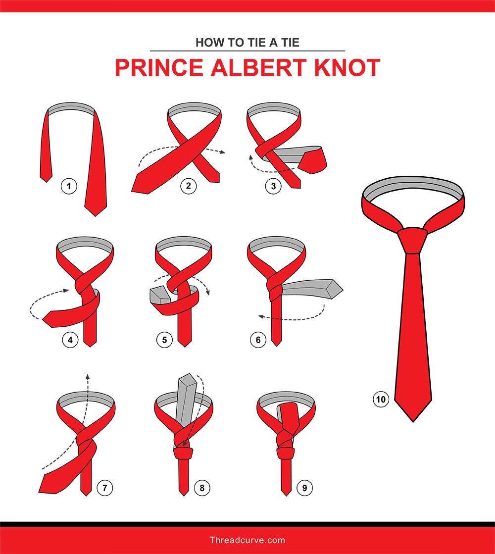 How to tie a Prince Albert tie knot (illustration)