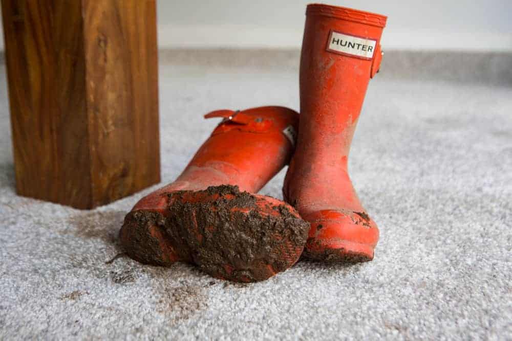 Dirty red hunter boots in a clean carpet.