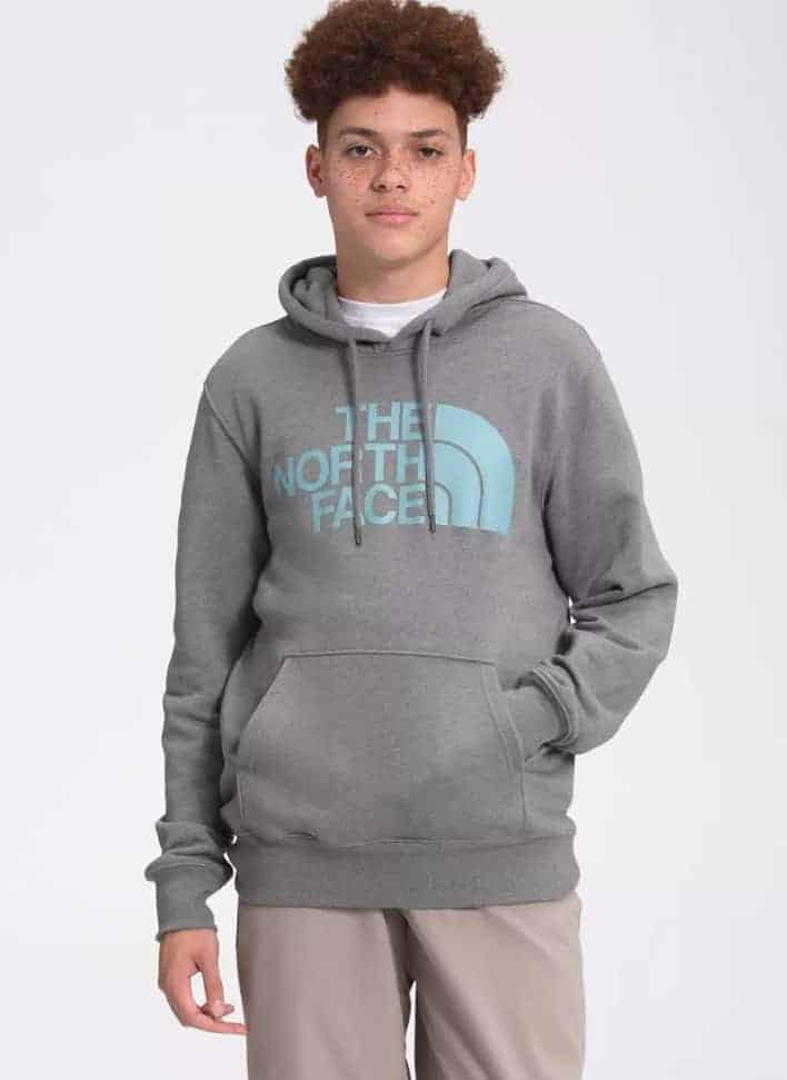 The The North Face Half Dome Pullover Hoodie in gray.