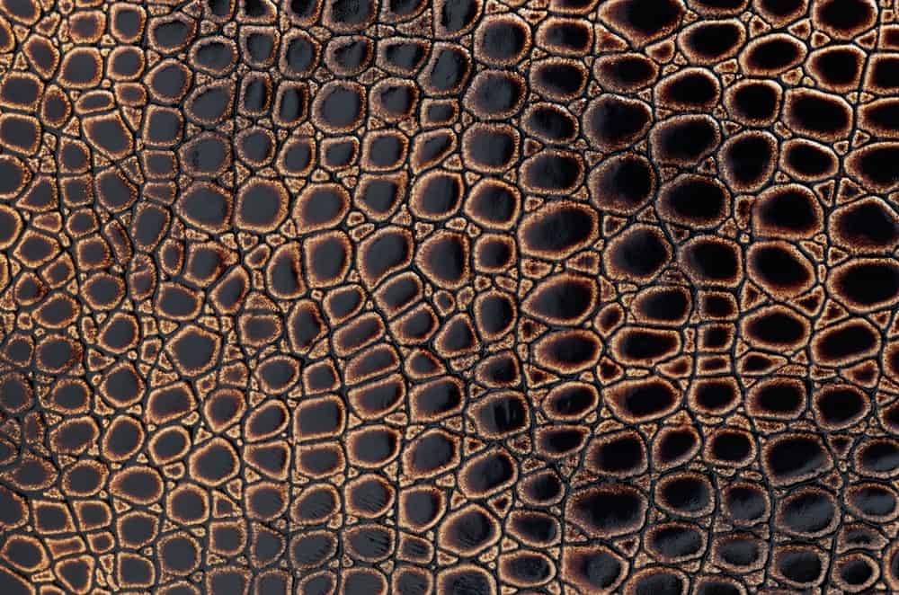 This is a close look at an Exotic Leather fabric.