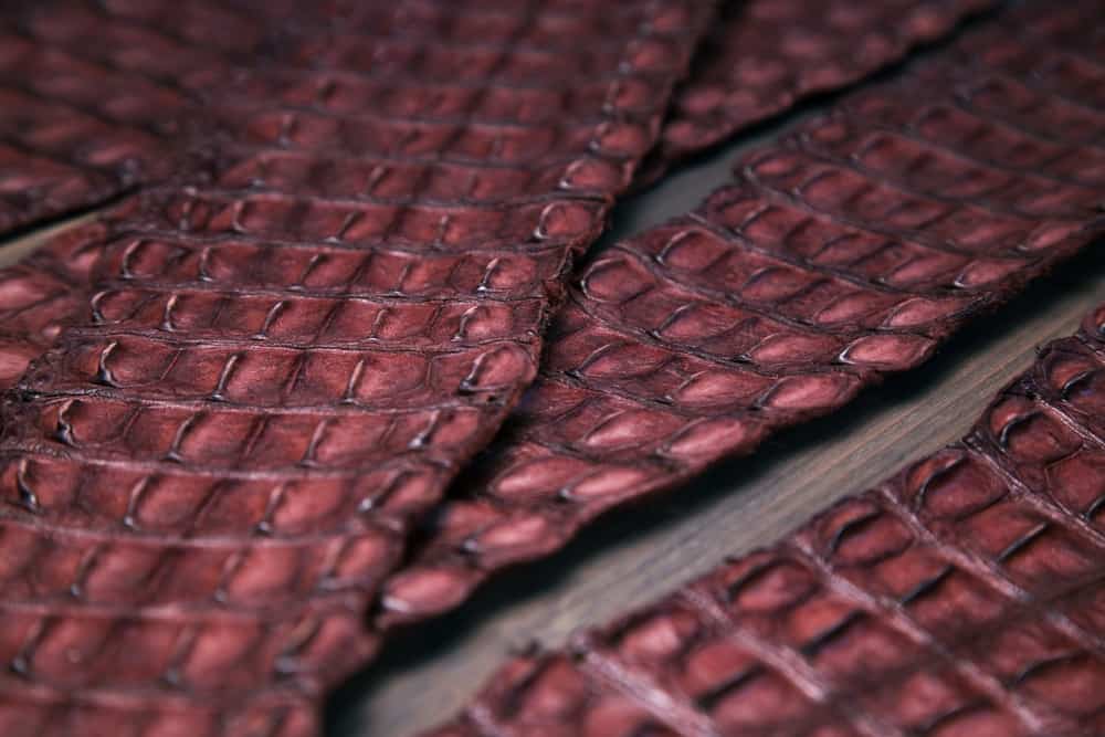 This is a close look at sets of Crocodile Leather on a table.