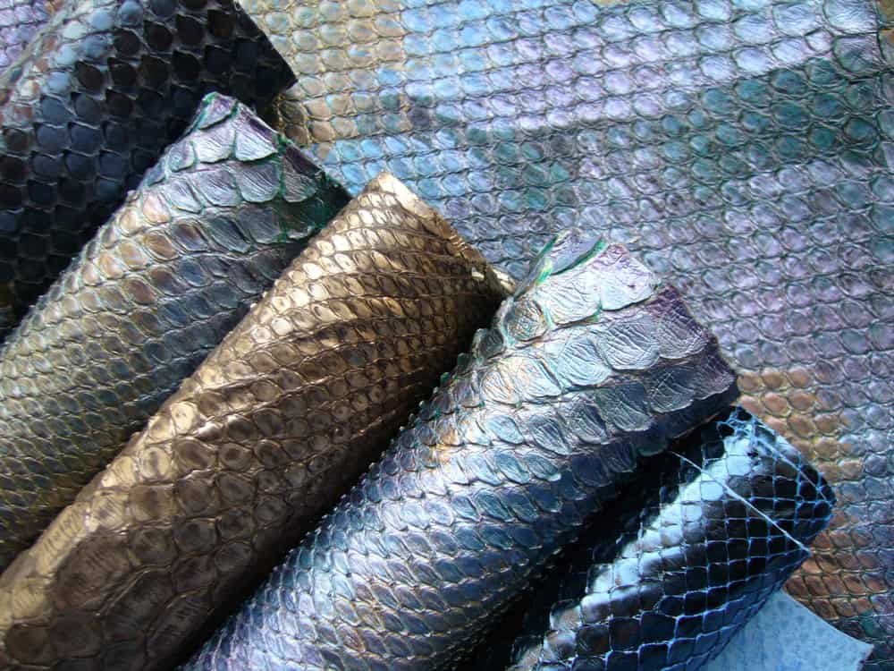 This is a close look at a bunch of various Snake Leather on display.