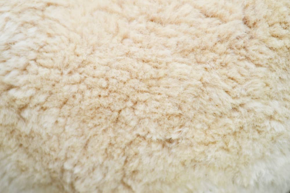 This is a close look at a beige Alpaca Wool fabric.
