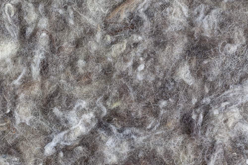 This is a close look at a bunch of Recycled Wool or reclaimed wool.