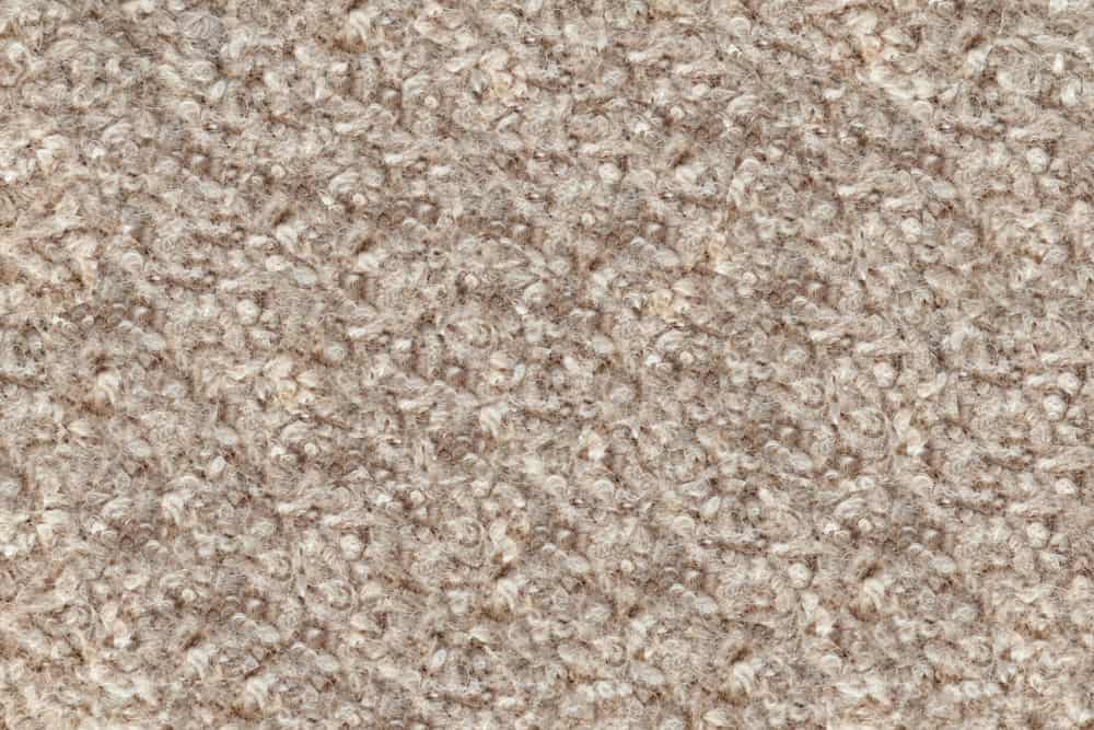 This is a close look at a beige Boiled Wool fabric.