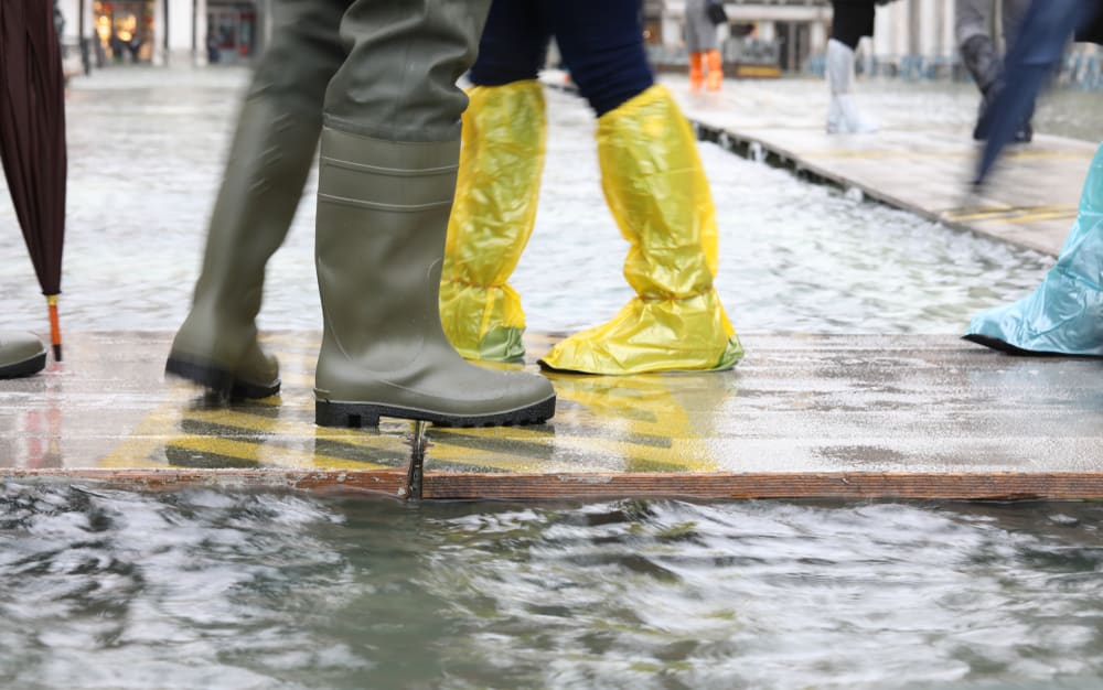 People wearing plastic gaiters and rubber boots walking on wooden platforms.