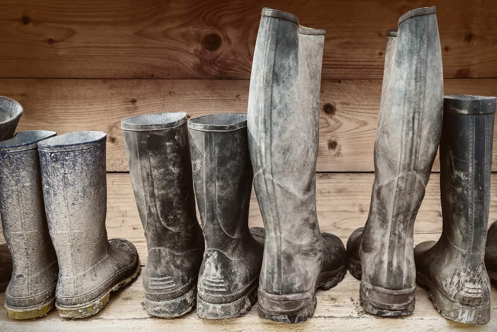 A close look at a row of black rubber boots.