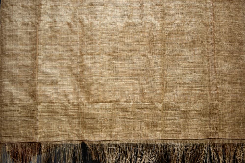 This is a close look at a piece of muga silk.