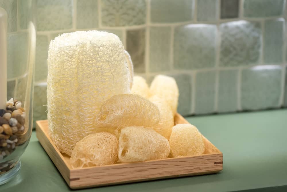 These are various loofa sponges on a bathroom counter.