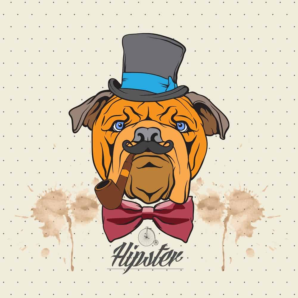 This is a close look at an illustration of a bulldog wearing a hat and bow tie.