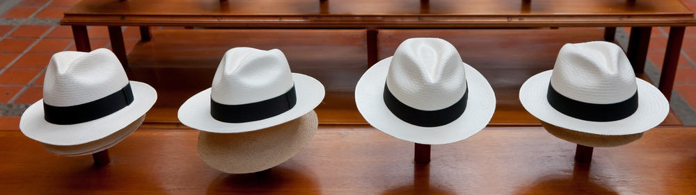 This is a row of panama hats on hat stands.