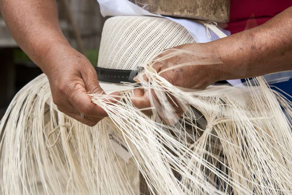 This is a close look at a man weaving a panama hat.