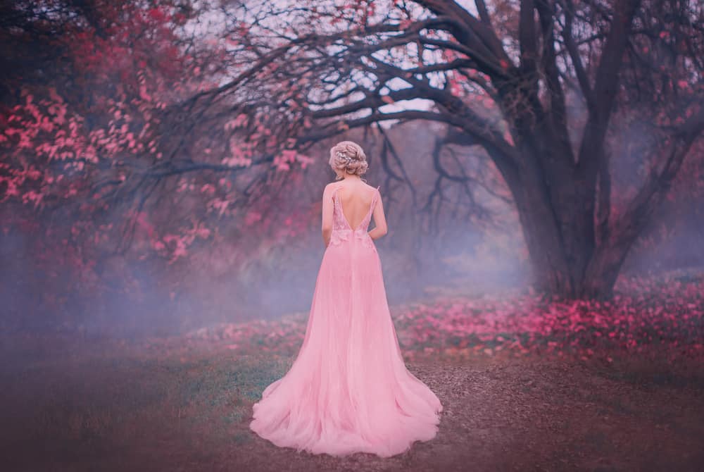 Back profile of a princess in an autumn scene with mystic blue fog.