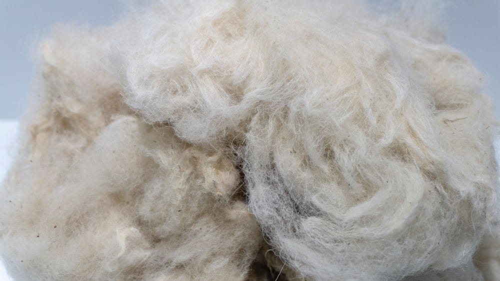 A close look at a clump of organic wool yarn.
