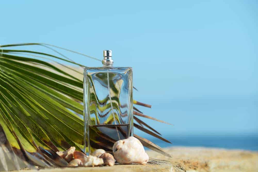 Perfume with palm leaf and white shells.