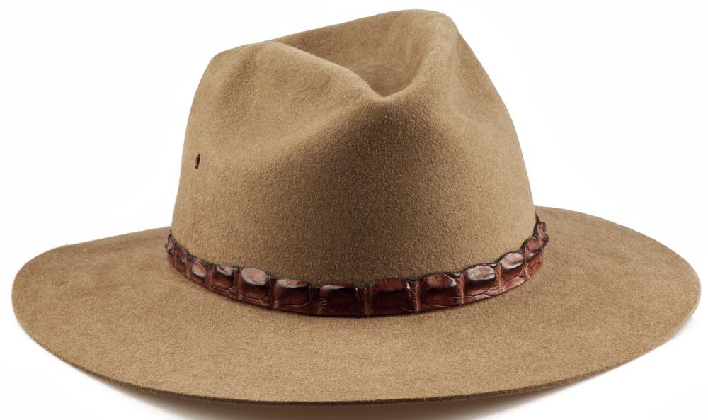 This is a close look at a brown Akubra cowboy hat with snakeskin accent.