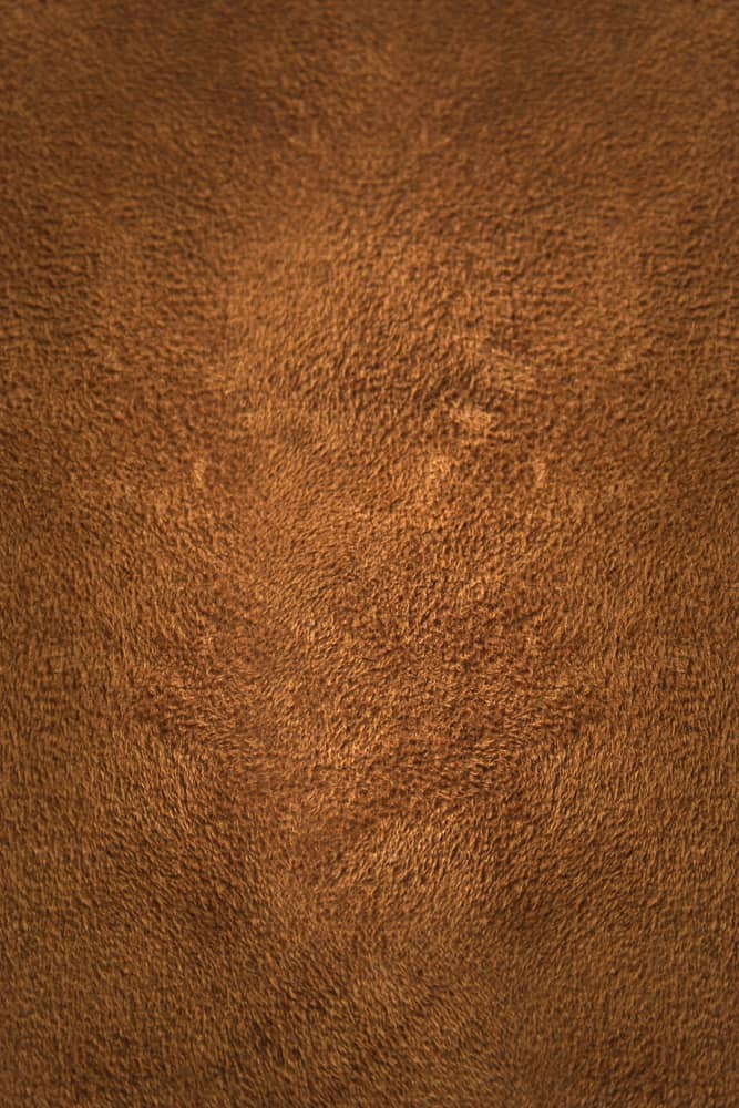 This is a genuine piece of deerskin suede leather.