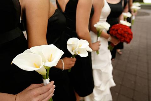 This is a close look at a row of bridesmaids wearing black dresses.