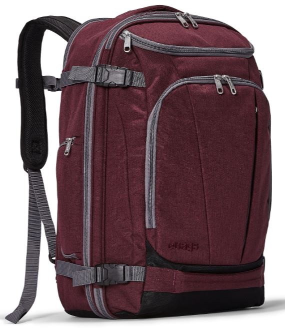 The Mother Lode Travel backpack from Ebags.