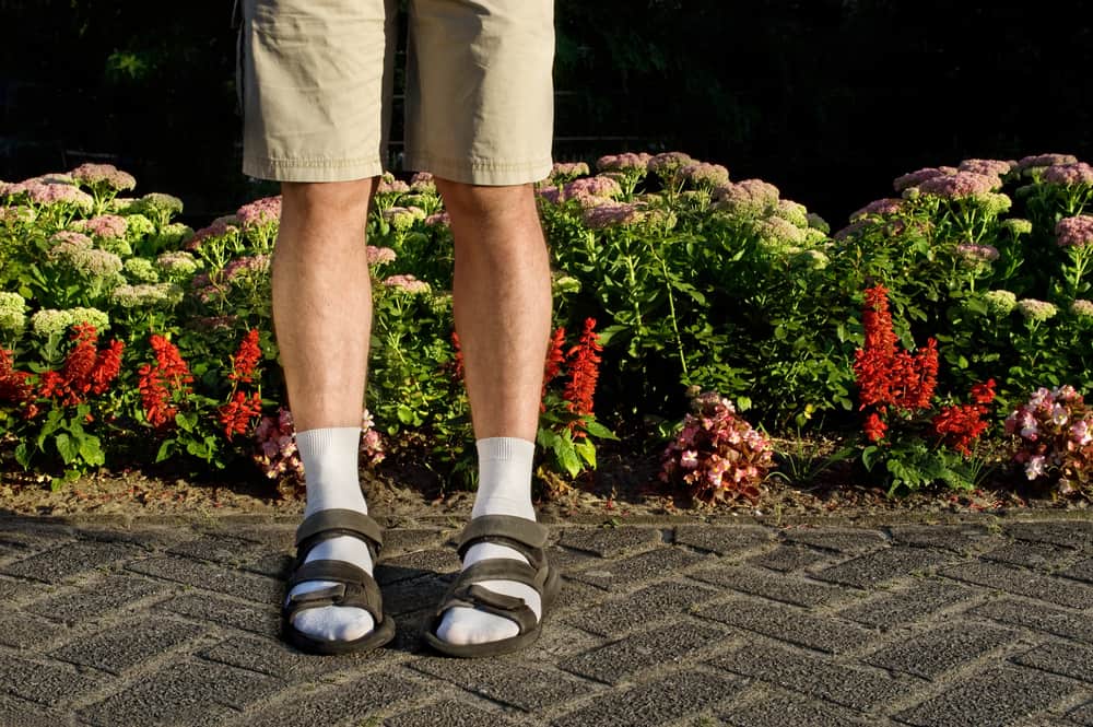 This is a close look at a man wearing khaki shorts, socks and sandals.