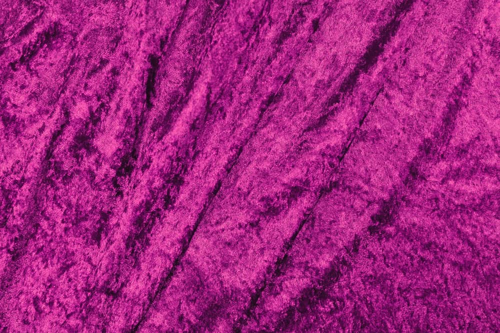 This is a close look at a purple panne velvet fabric.