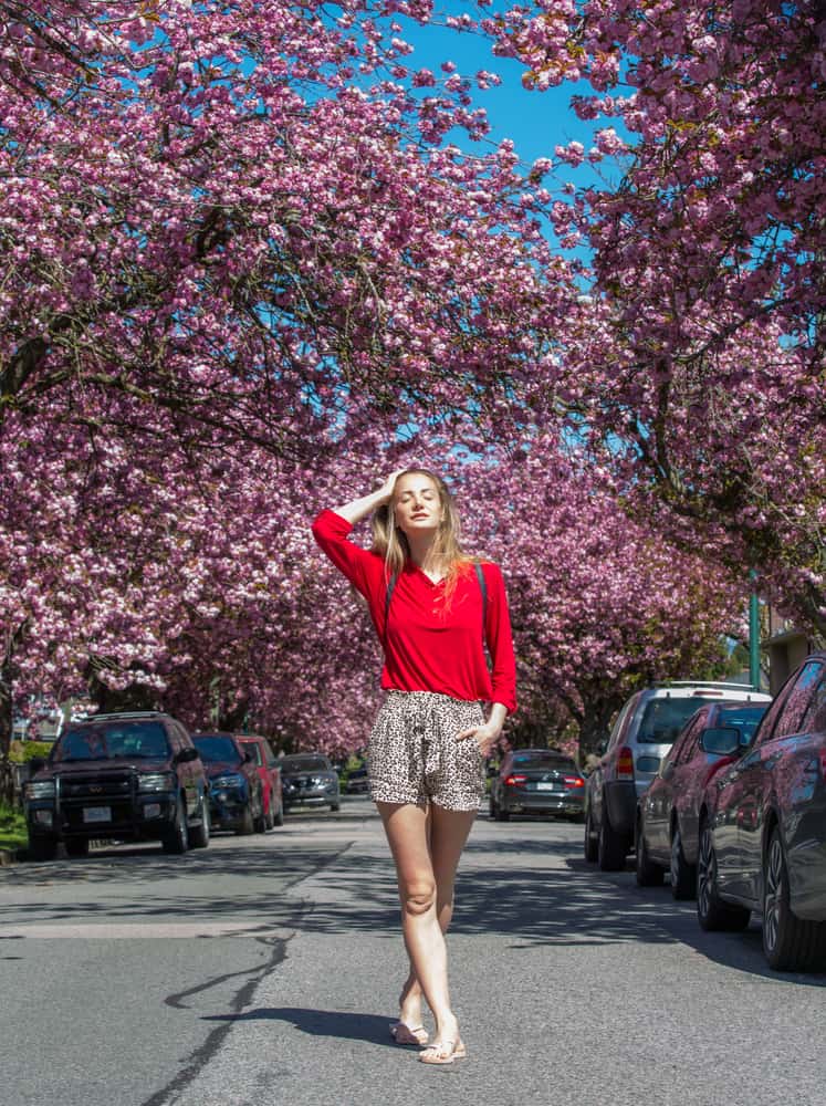 A woman wearing a pair of shorts walking at a street lined with pink blossom trees.