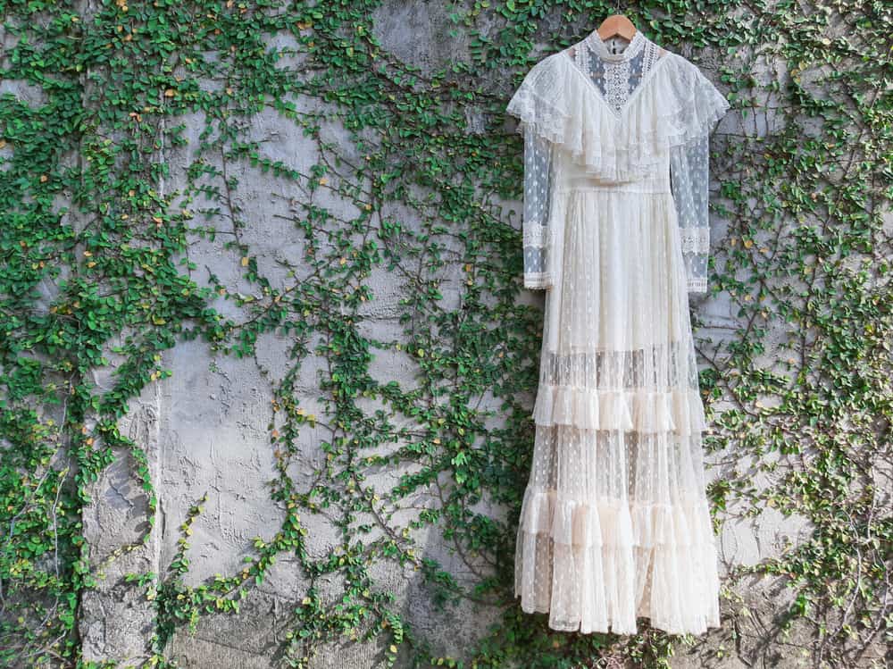 A lacy wedding dress hanging against a bare wall adorned with creeping plants.