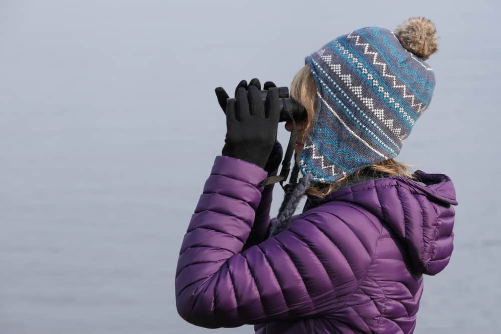 Woman in a purple jacket and bobble hat looking though binoculars.