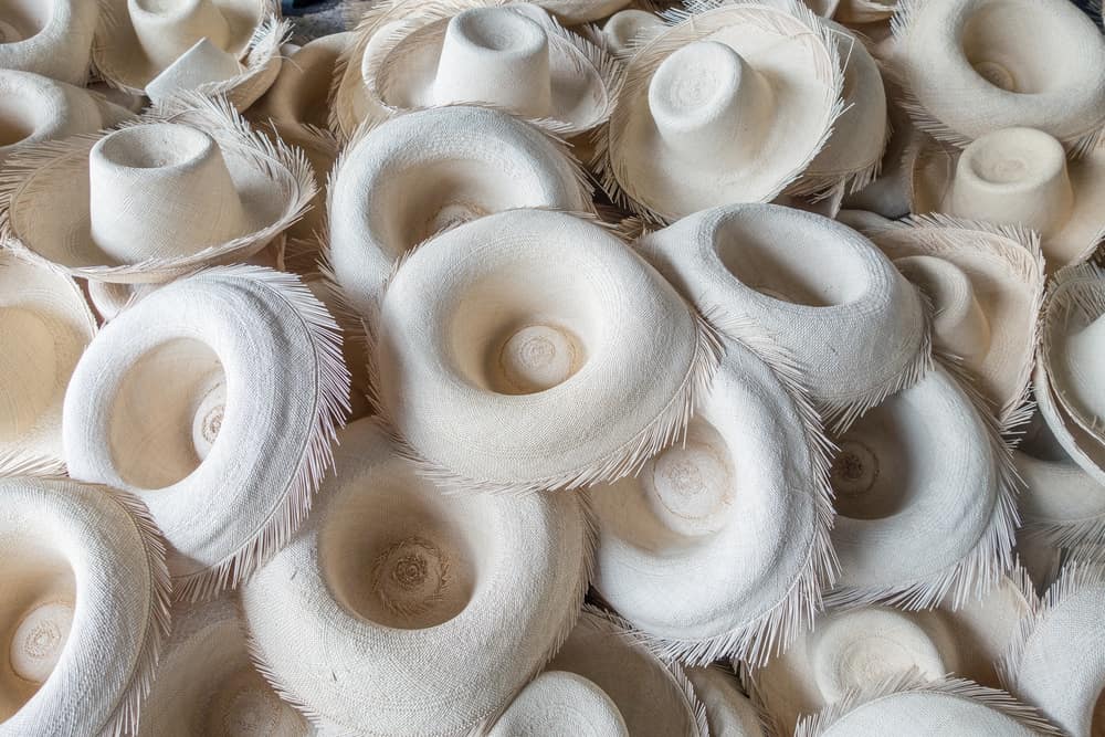 This is a bunch of freshly-weaved panama hats in the middle of production.
